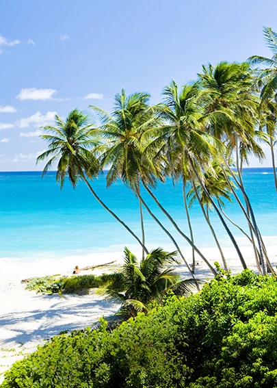 Destination Caribbean